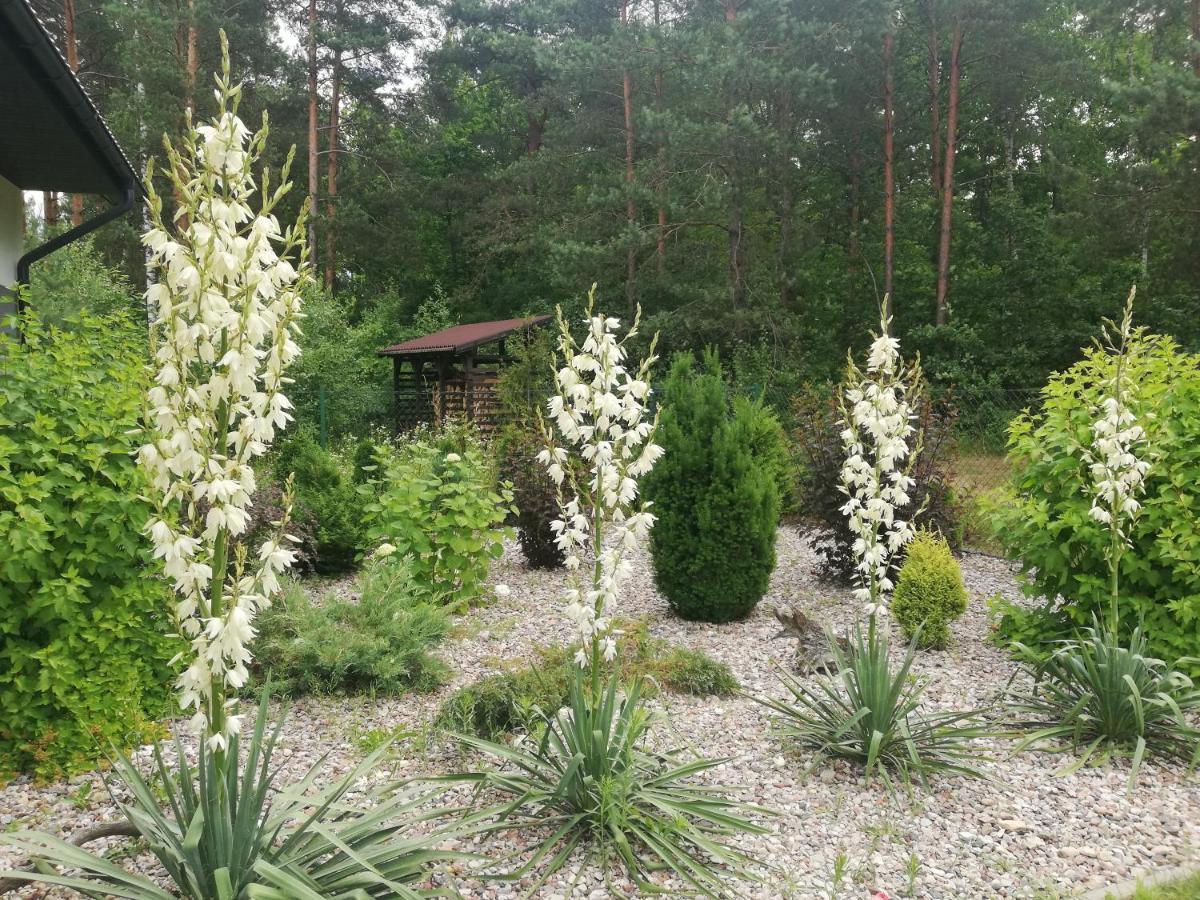 Cudodomek Spa W Mrozach Wielkich Kolo Elku Kültér fotó